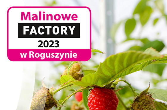 Zapraszamy na Malinowe Factory 2023