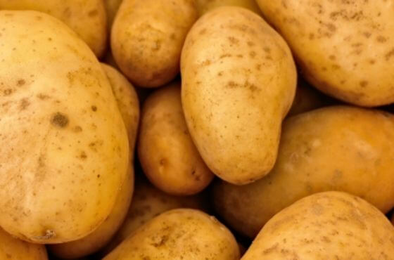 Profilaktyka chorób ziemniaka z Menno Florades