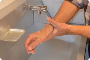 mycie rąk w szklarni
