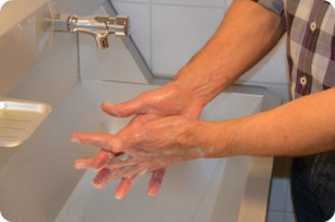 mycie rąk w szklarni