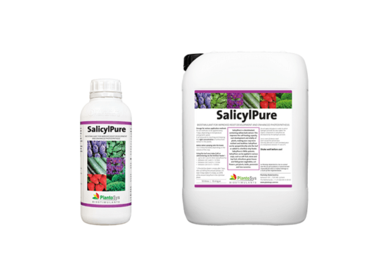 salicyl pure