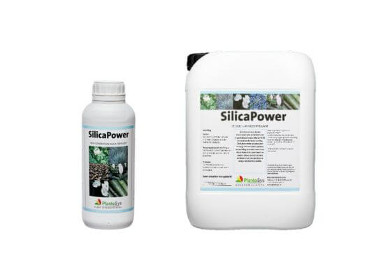 silica power