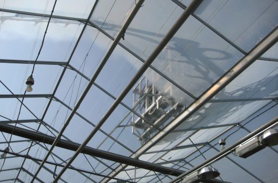 Zmywanie cieniówki z dachu szklarni