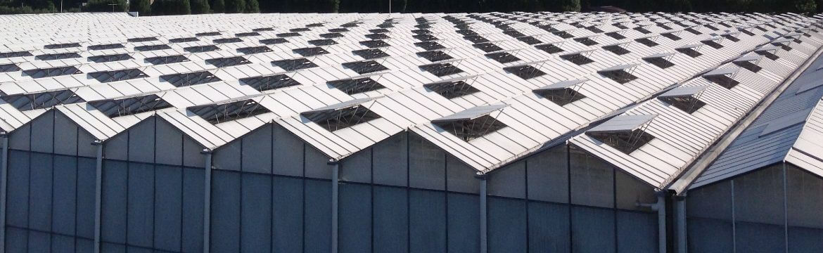Zmywanie cieniówki z dachu szklarni