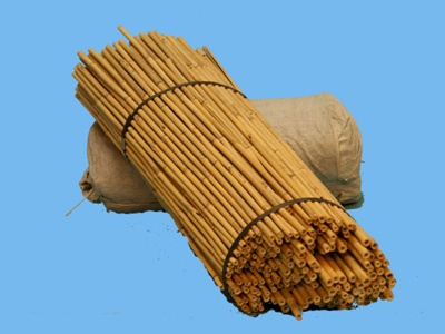 Bambus pełny 122cm 12-14mm (250)