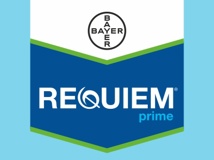 Requiem Prime 5l
