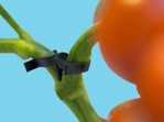 Hak podwójny do pomidora Twinhook czarny (5500 szt.)