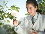 Analiza liści: ocena odżywienia roślin (porównanie 2 prób)